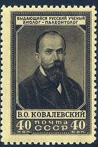 Ковалевский Владимир