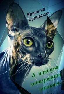 5 поводов завидовать кошкам