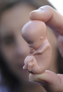 Abortus