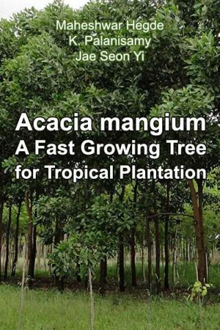 Acacia mangium  Willd. - A Fast Growing Tree for Tropical Plantation