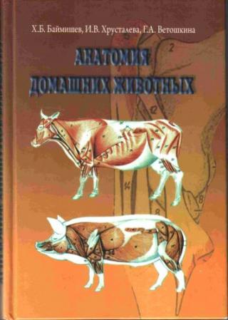 Анатомия домашних животных (остеология, синдесмология, миология)