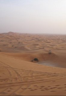 Бедуины: с верблюдов на тойоты