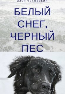 Белый снег, чёрный пёс