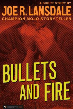 Bullets and Fire [Short Story]