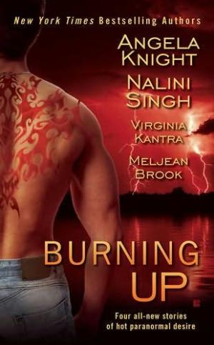 Burning Up [Omnibus of novels]
