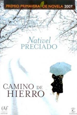 Camino de hierro