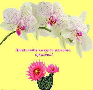 Чтоб тебе кактус вместо орхидеи!