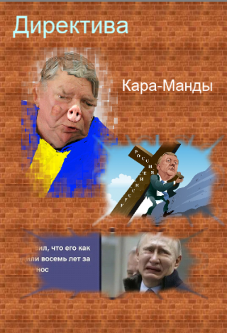 Директива кара-манды