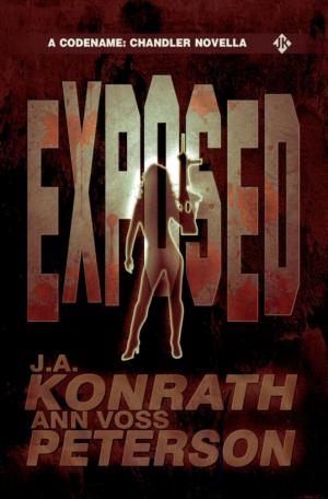 Exposed: A Thriller Novella [Chandler Series]