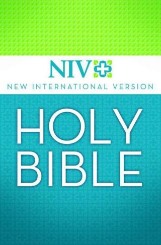 Holy Bible: New International Version (NIV)
