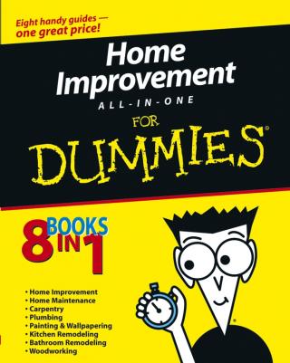 Home Improvement All-in-One For Dummies®