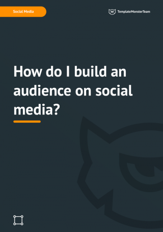 How do I build an audience on social media?