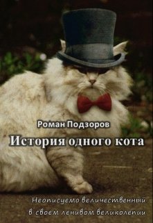 История одного кота