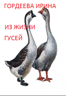 Из жизни гусей