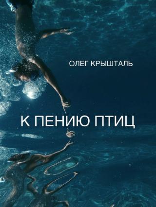 К пению птиц [SelfPub]