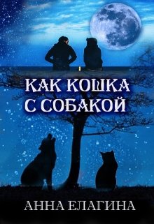 Как кошка с собакой