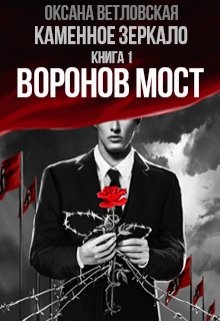 Каменное зеркало. Книга 1. Воронов мост