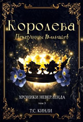 Королева Потерянных Мальчиков [Queen of the Lost Boys - ru][ЛП]