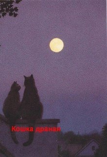 Кошка драная