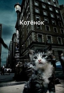 Котёнок