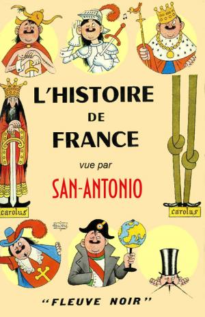 L'Histoire de France vue par San-Antonio [fr]