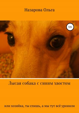 Лысая собака с синим хвостом, или, Хозяйка, ты спишь, а мы тут всё уронили! [litres]