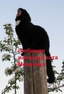 Любимая женщина кота Механика