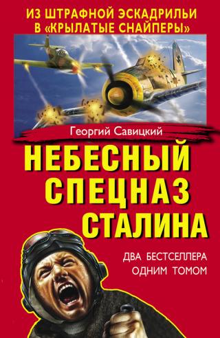 Небесный спецназ Сталина [Из штрафной эскадрильи в «крылатые снайперы» (сборник)]