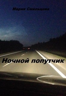 Ночной попутчик