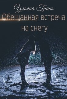 Обещанная встреча на снегу