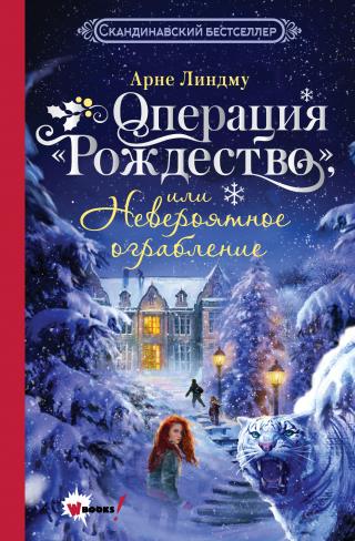 Операция «Рождество», или Невероятное ограбление [litres]