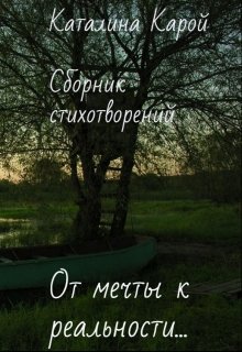 От мечты к реальности...