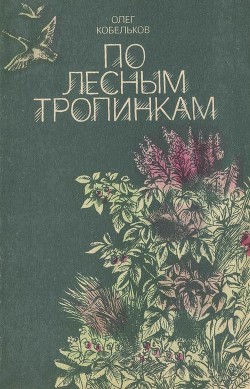 По лесным тропинкам (Рассказы и сказки)