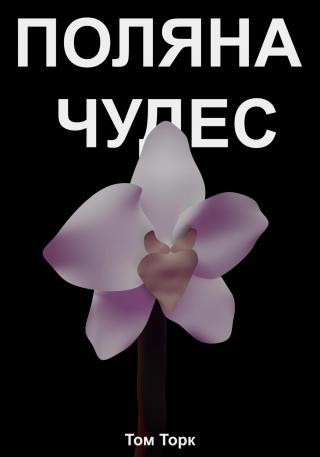 Поляна чудес