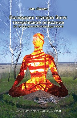 Последние ступени йоги: техническое описание. 14 лунных движений вглубь духа Земли (СИ)