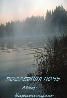 Последняя ночь