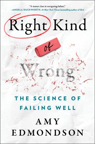 Правильные ошибки. Наука о том, как добиваться успеха [Right Kind of Wrong: The Science of Failing Well]