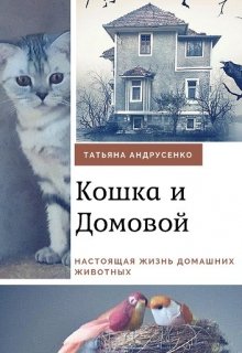 Приключения Кошки и Домового