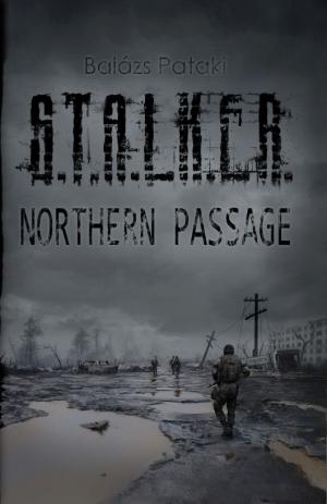 S.T.A.L.K.E.R.: Northern Passage