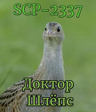 SCP-2337: Доктор Шлёпс