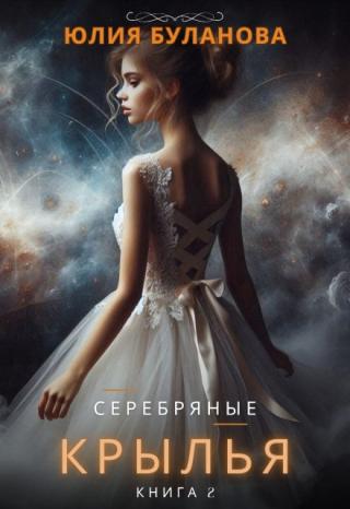 Серебряные крылья. Книга 2