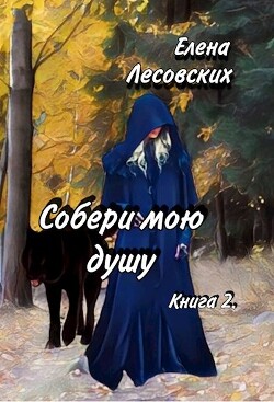 Собери мою душу. Книга 2 (СИ)