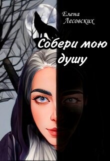 Собери мою душу (СИ)