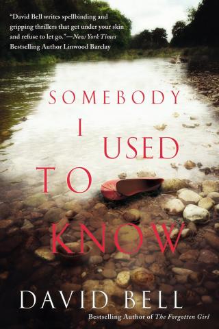 Somebody I Used to Know