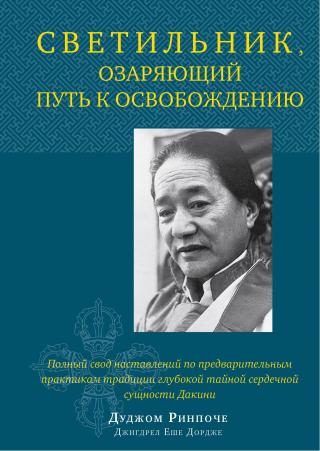 Светильник, озаряющий путь к освобождению. Полный свод наставлений по предварительным практикам традиции глубокой тайной сердечной сущности Дакини [litres]