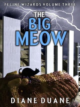 The Big Meow