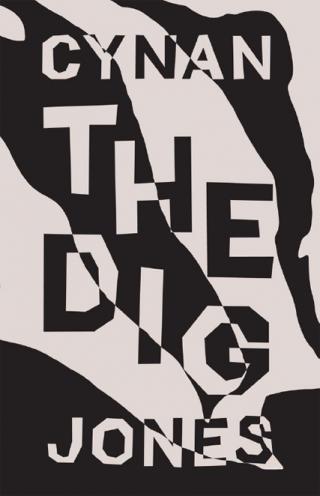 The Dig