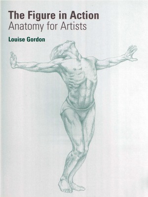 The Figure in Action - Anatomy for the Artist