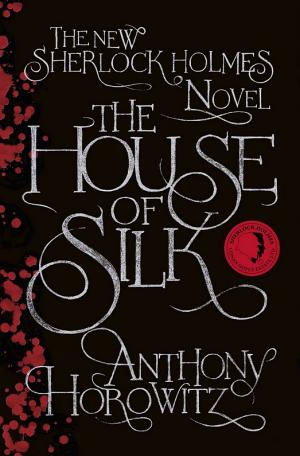 The House of Silk [en]