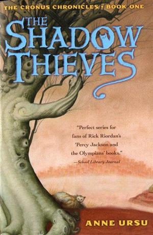 The Shadow Thieves